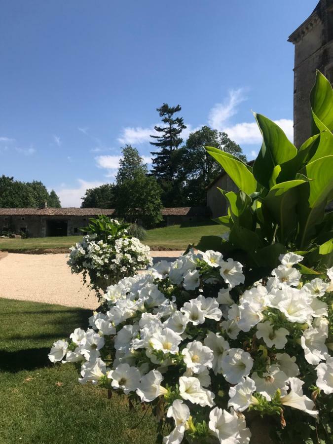 Chateau Pont Jarno B&B Champdeniers Exterior photo